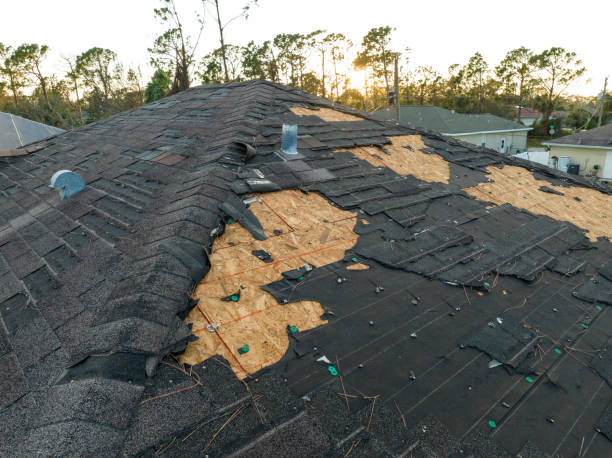 Best Storm Damage Roof Repair  in Rainbow Lakes Estates, FL